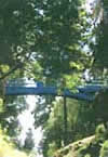 Balgay park