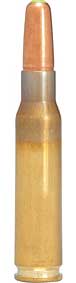 Bullet Shell