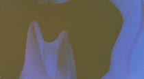 Ghost 6