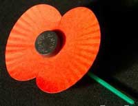 Poppy