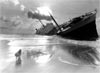 The Dog, Sole Survivor of a Sinking Ship