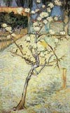 Vincent Van-Gogh